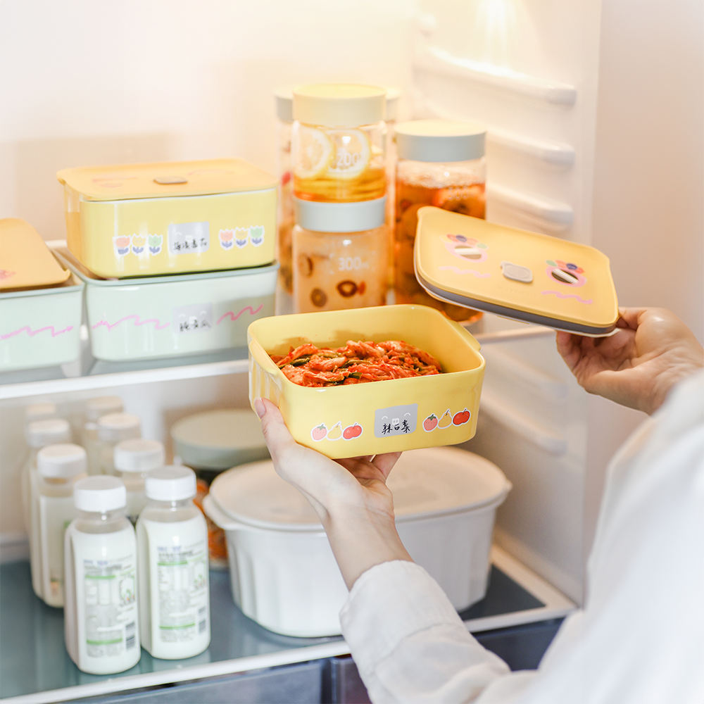 Buydeem Ceramic Bento Lunch Box With Lid 810ML