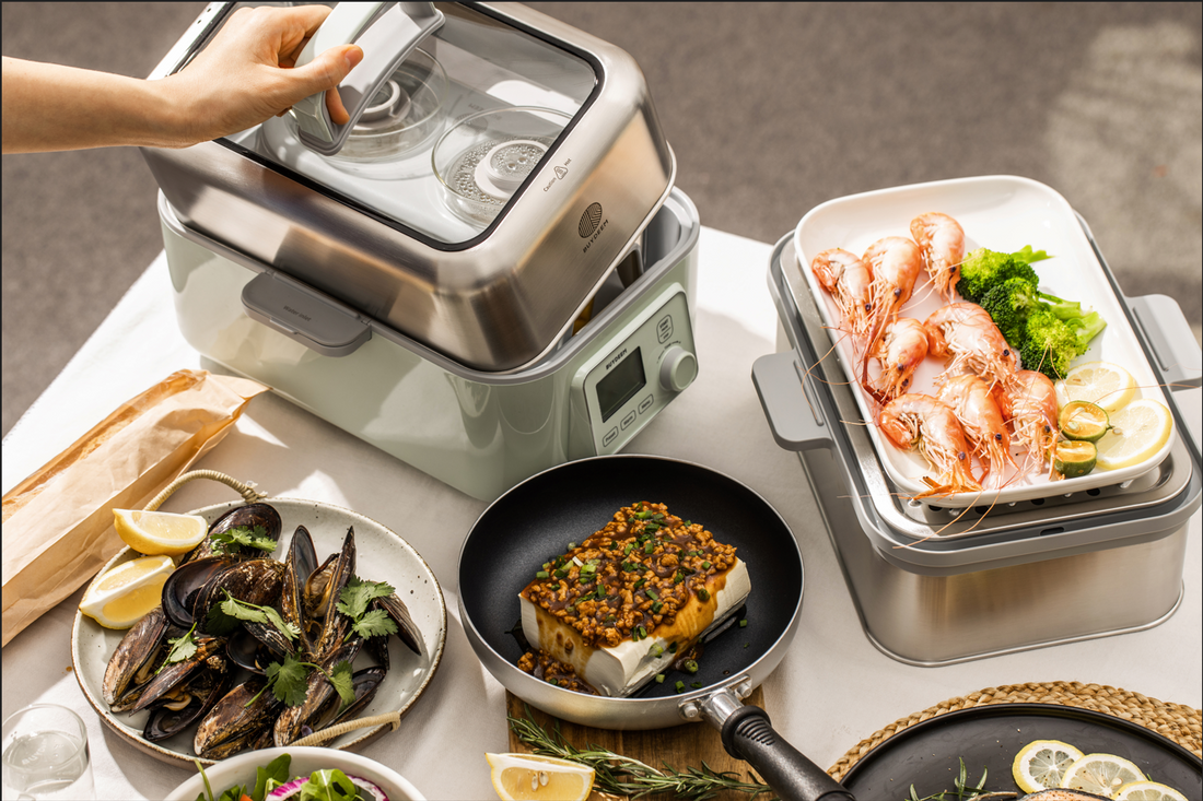 Why you need AT LEAST one electric steamer in your household?